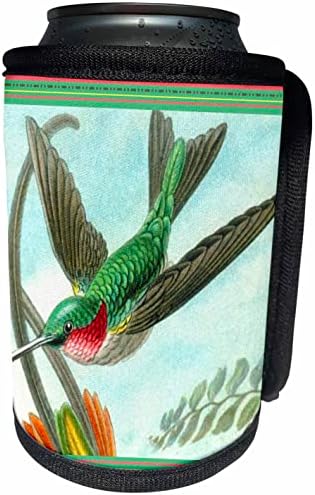 Uçuş Renkli Vintage 3dRose Yakut Boğazlı Sinek kuşu. - Şişe Sargısını Soğutabilir (cc-365404-1)