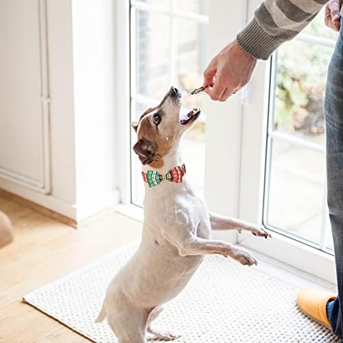 MR. CHUBBYFACE Noel Ekose köpek tasması Erkek Kız Köpekler için Ayarlanabilir Kırmızı Yeşil köpek tasması Denizci