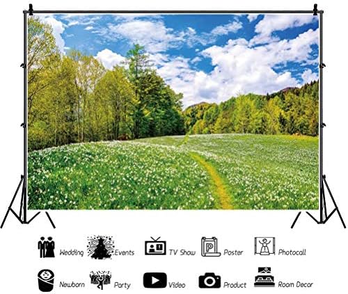 Kırsal Çiftlik Alan Zemin Fotoğrafçılık için 5x3ft Bahar Yaz Sahne Yeşil Çayır Gökyüzü Bulutlar Fotoğraf Arka Plan