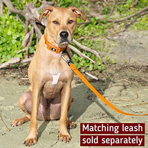 Leashboss Su Geçirmez Köpek Tasması, Kokusuz Hızlı Kuruyan Kaplamalı Naylon, Plaj ve Yüzme için Kolay Temizlenebilir,