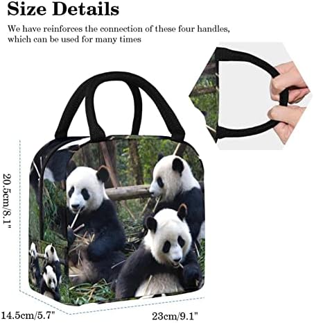 Panda Hayvan Boya Öğle Yemeği Çantası Yalıtımlı yemek kabı Piknik Çantası Açık Okul Seyahat Gıda Konteyner soğutucu