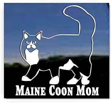 Maine Coon Anne ~ Kitty Kedi Vinil Pencere çıkartma