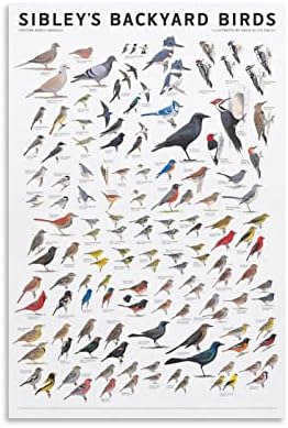 Sibleys Köy Kuşlar Doğu Kuzey Amerika Poster Dekoratif Boyama Tuval Duvar Sanatı Oturma Odası Posterler Yatak Odası