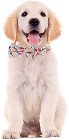Büyük köpek tasması Kişiselleştirilmiş köpek tasmaları papyon Pamuk Kız Toka Köpek Tasmaları 3 Ayarlanabilir Boyutları