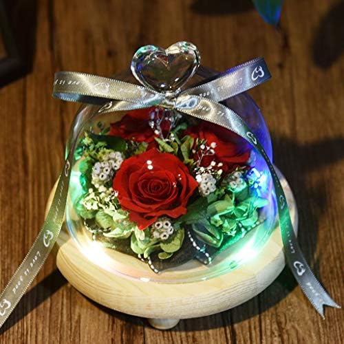 Çiçek gün ışığı sevgililer günü Cam gül hediyeler gül LED yaratıcı dekor ev dekor ve yatak odası süslemeleri