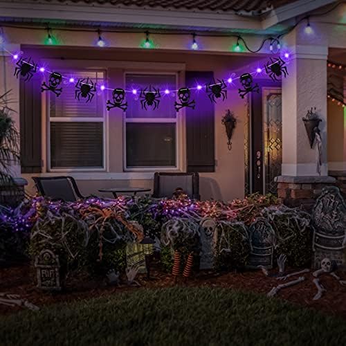 İskelet ve Örümcek dekorlu Cadılar Bayramı ışıkları, 9.8 Feet 30 LED peri ışık zinciri 2 modlu Pille Çalışan Cadılar