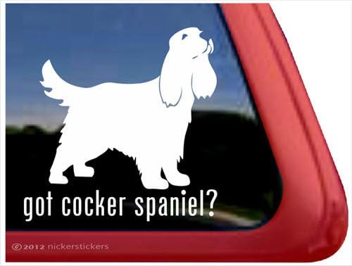 Cocker Spaniel var mı? ~ Cocker Spaniel Vinil Pencere Otomatik Çıkartma